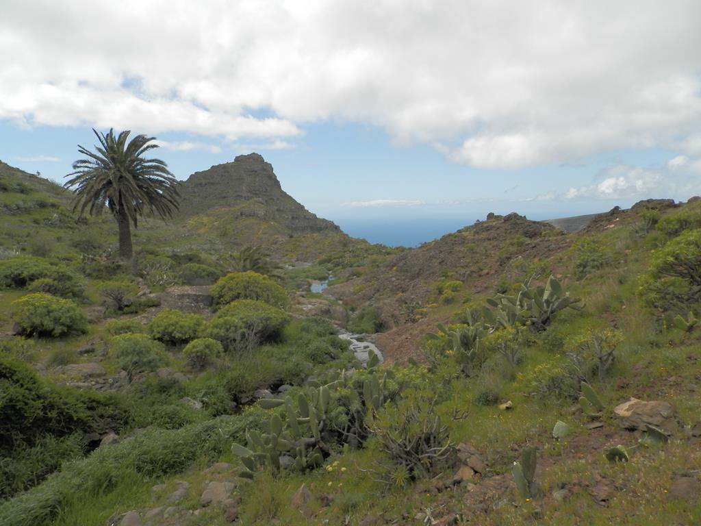 Wanderung von Arure nach  El Cercado, Calera